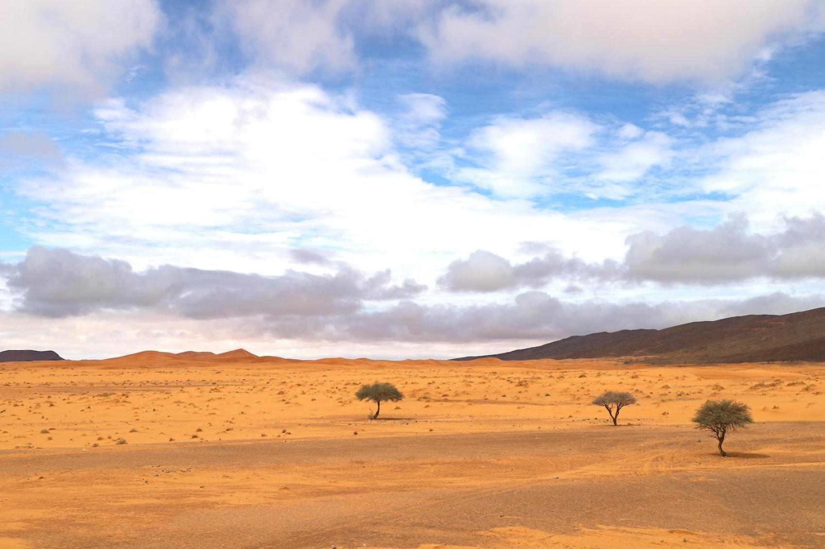Porte De Sahara Ouzina Экстерьер фото